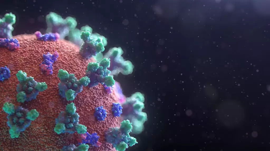 fusion-medical-animation-EAgGqOiDDMg-unsplash-1024x576